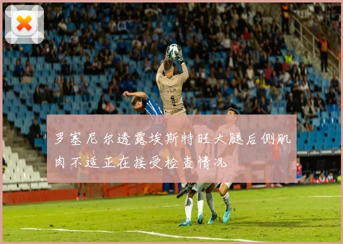 罗塞尼尔透露埃斯特旺大腿后侧肌肉不适正在接受检查情况