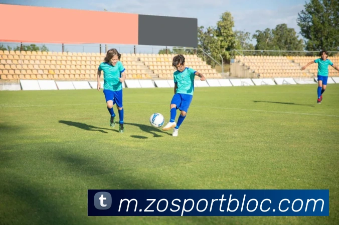 中欧足球官网平台生态图